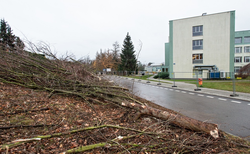 Były drzewa i krzewy, będzie fotowoltaika zdjęcie nr 320867