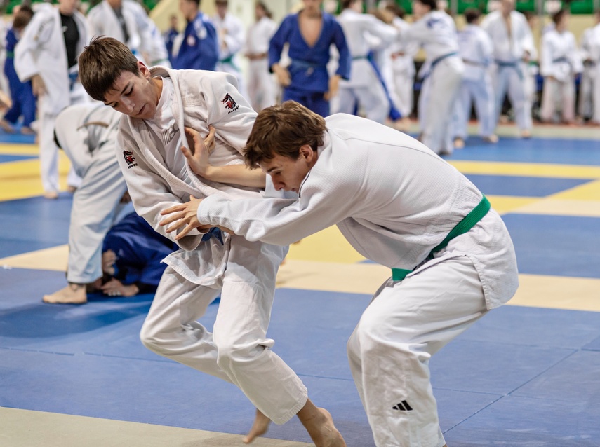 Judocy trenują w Elblągu zdjęcie nr 321920