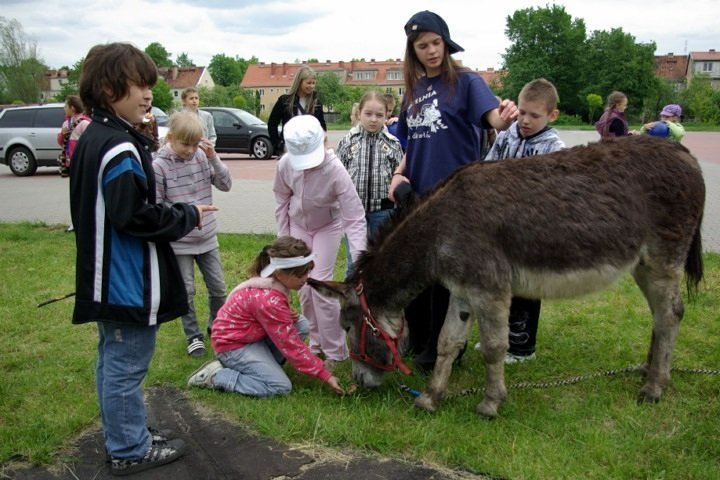 VIII Bałtycki Festiwal Nauki zdjęcie nr 35389