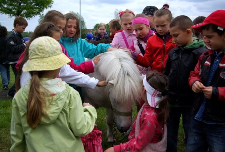 VIII Bałtycki Festiwal Nauki zdjęcie nr 35390