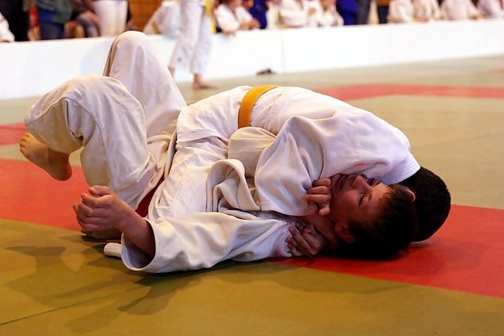 Ogólnopolskie Otwarte Mistrzostwa Elbląga Dzieci i Młodzików w Judo zdjęcie nr 44509