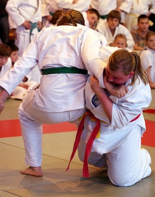 Ogólnopolskie Otwarte Mistrzostwa Elbląga Dzieci i Młodzików w Judo zdjęcie nr 44506