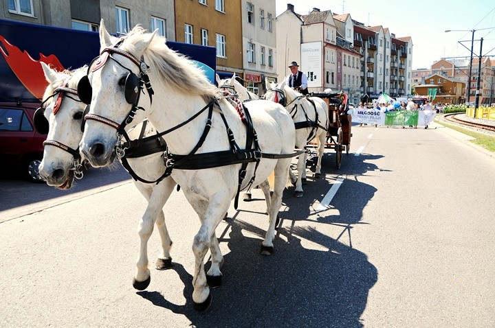 Pochód studentów zdjęcie nr 69805