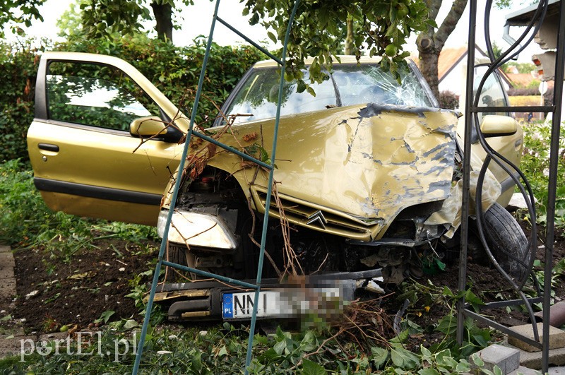 Citroenem wpadł do ogródka zdjęcie nr 91005