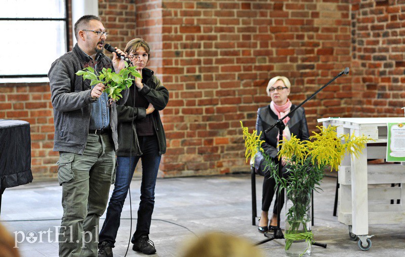 Łąka w szklance i na talerzu zdjęcie nr 134124