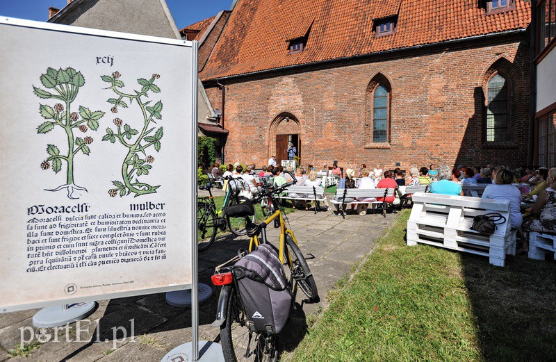 Z ziołami trzeba ostrożnie zdjęcie nr 135019