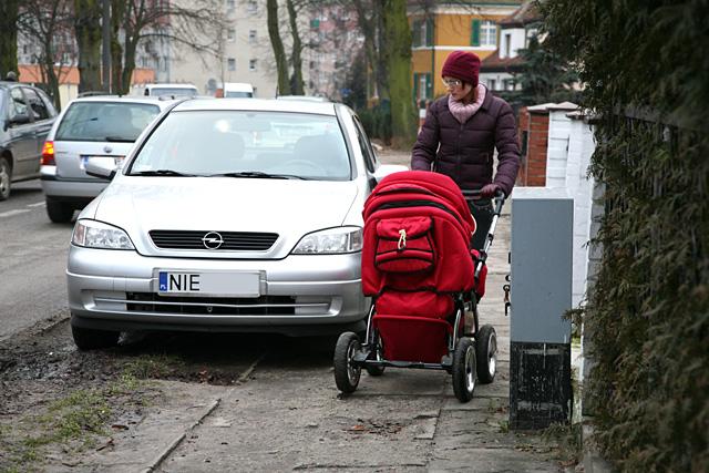 Z dzieckiem na Dolinkę zdjęcie nr 11082