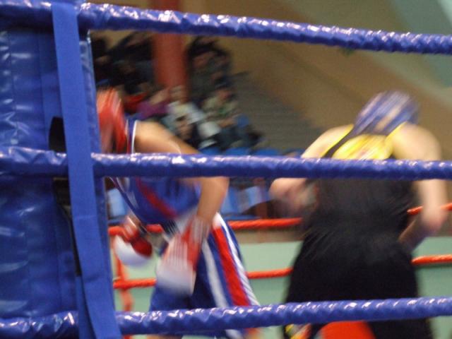 Mistrzostwa juniorów w boksie zdjęcie nr 11388