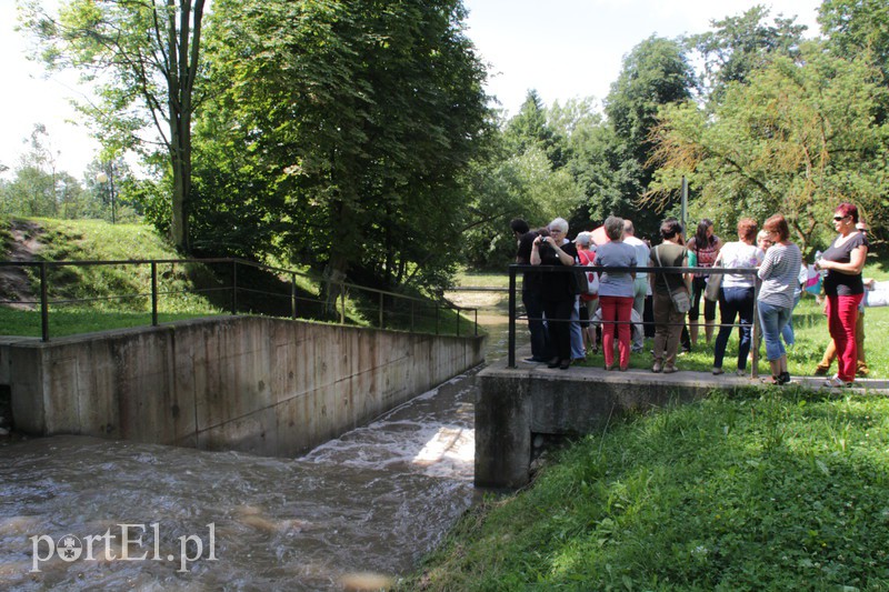 Tajemnice Kumieli odkryte zdjęcie nr 157227