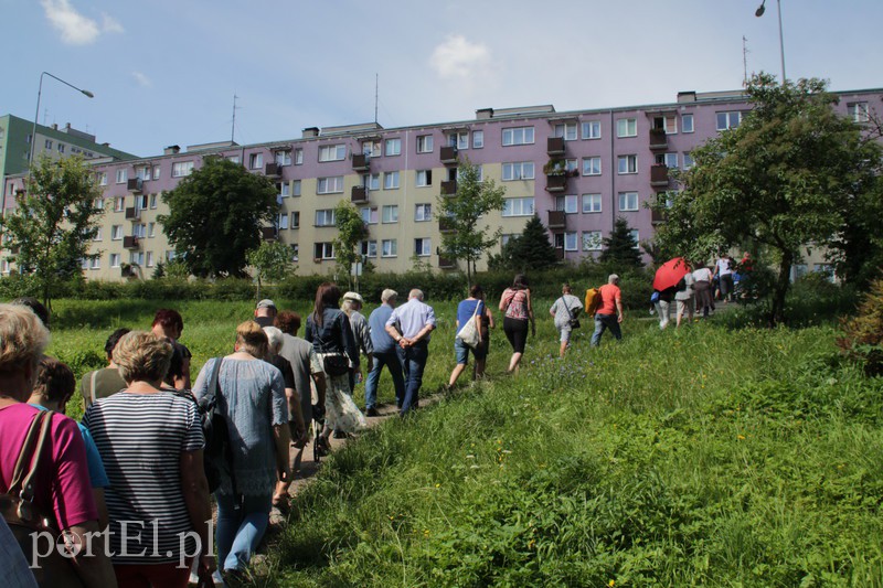 Tajemnice Kumieli odkryte zdjęcie nr 157224