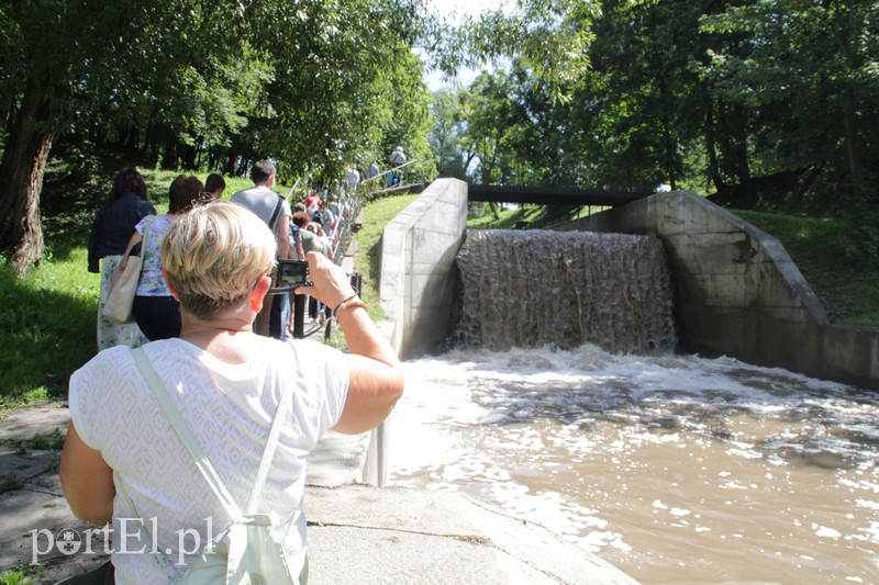 Tajemnice Kumieli odkryte zdjęcie nr 157230