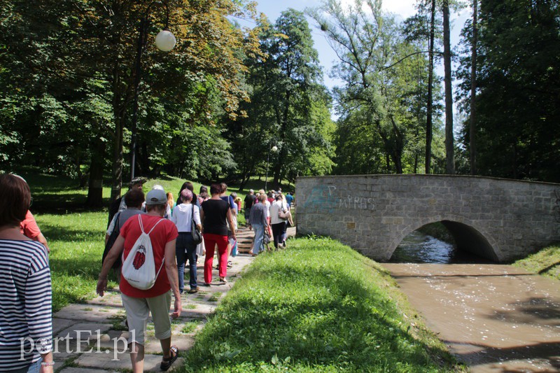 Tajemnice Kumieli odkryte zdjęcie nr 157229