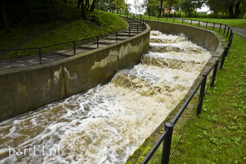 Kumiela jak rwąca rzeka zdjęcie nr 159519