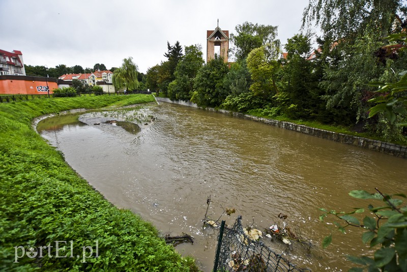 Kumiela jak rwąca rzeka zdjęcie nr 159514