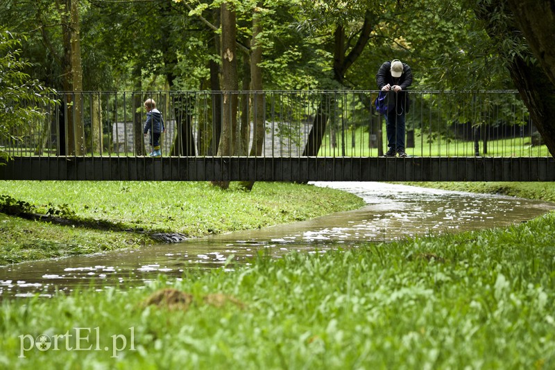 Kumiela jak rwąca rzeka zdjęcie nr 159515