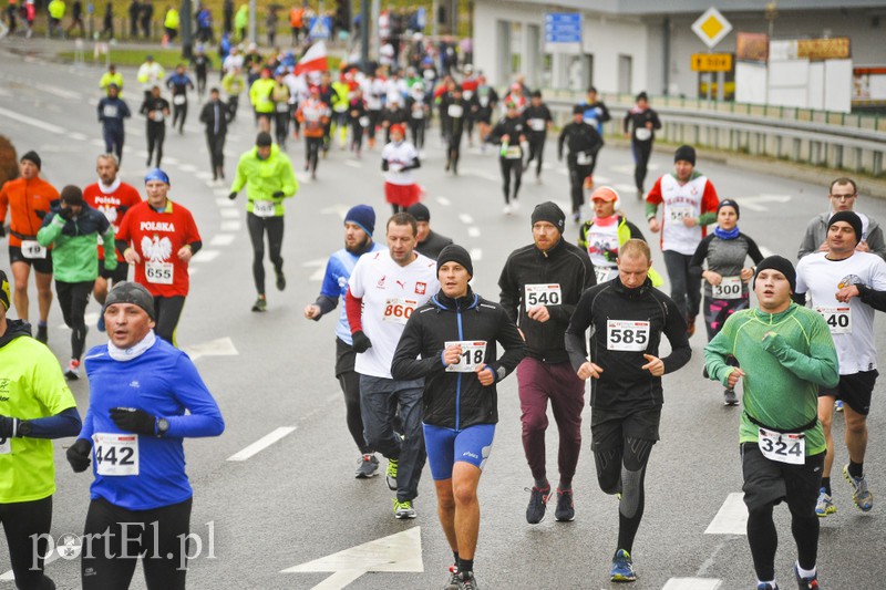 Elblążanie najszybsi w Biegu Niepodległości zdjęcie nr 164424