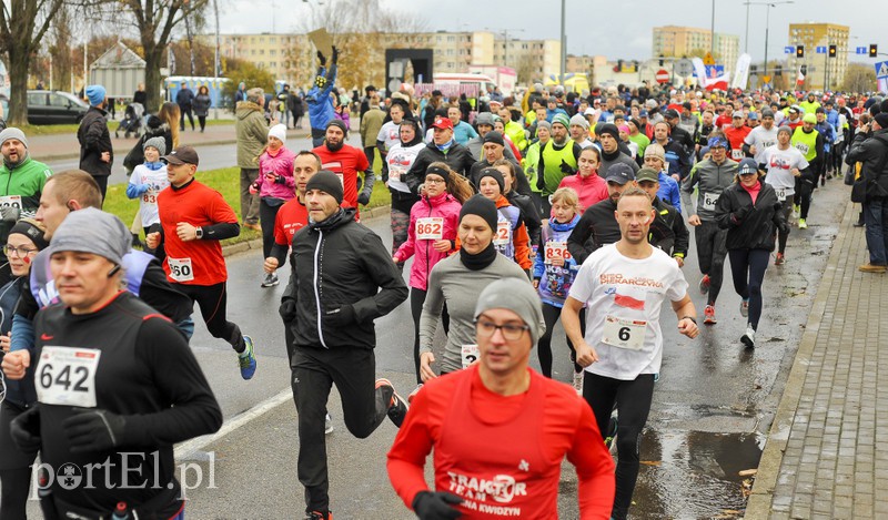 Elblążanie najszybsi w Biegu Niepodległości zdjęcie nr 164388