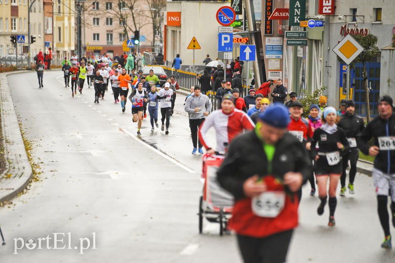 Elblążanie najszybsi w Biegu Niepodległości zdjęcie nr 164459