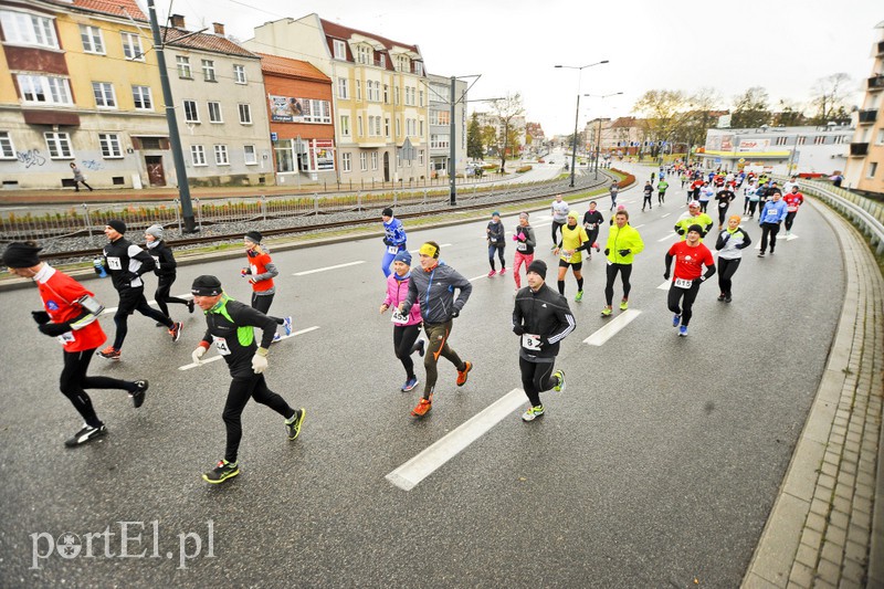 Elblążanie najszybsi w Biegu Niepodległości zdjęcie nr 164431