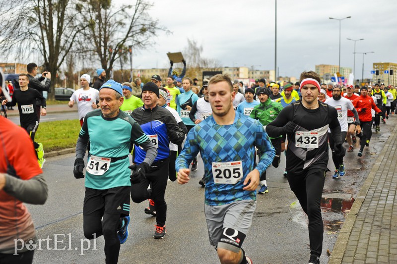 Elblążanie najszybsi w Biegu Niepodległości zdjęcie nr 164385