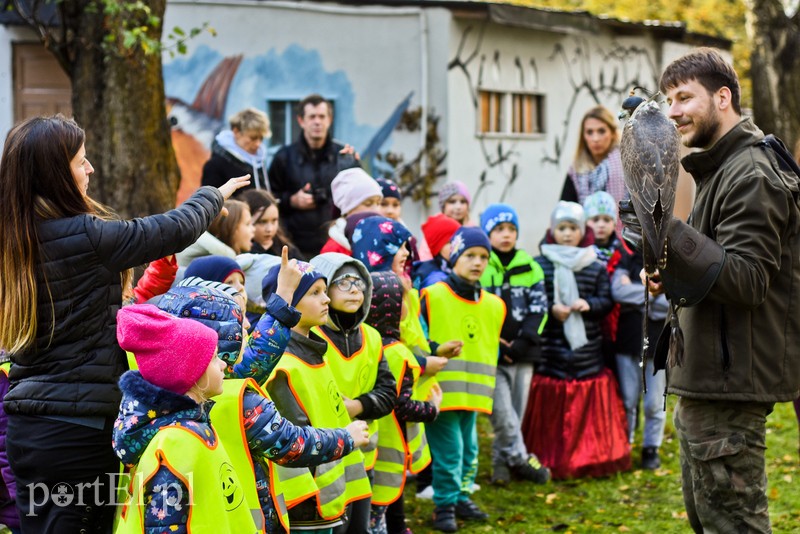 Elbląg Odlotowa lekcja przyrody