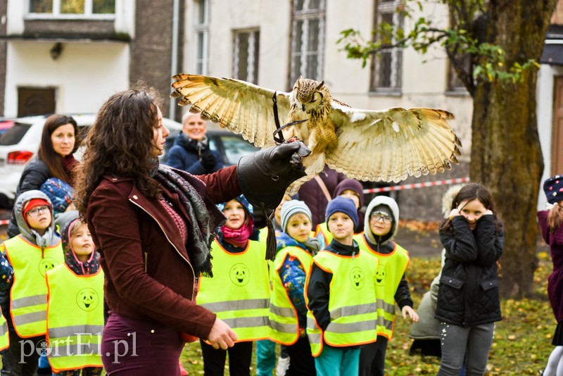 Odlotowa lekcja przyrody zdjęcie nr 214013