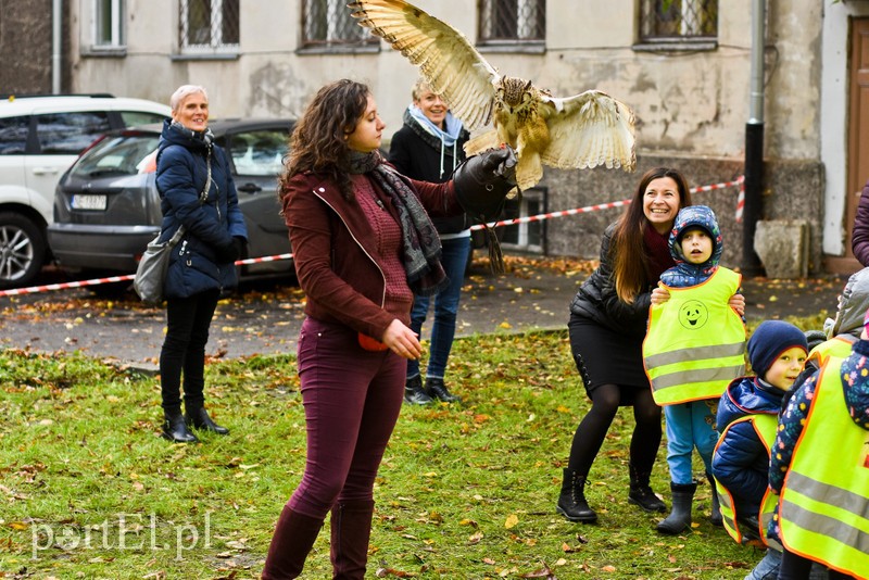 Odlotowa lekcja przyrody zdjęcie nr 214020