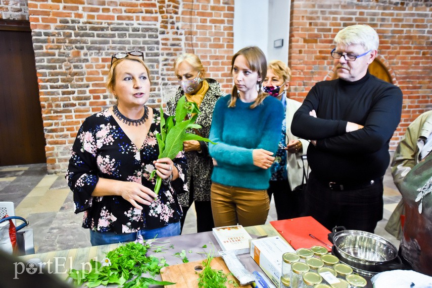 Festiwal pod znakiem ziół zdjęcie nr 229839