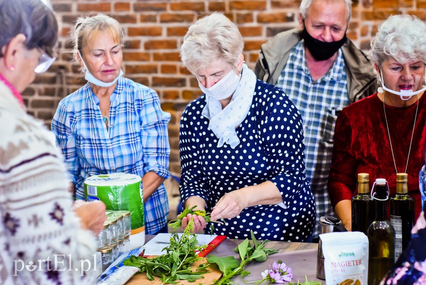 Festiwal pod znakiem ziół zdjęcie nr 229843