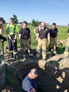 Byk wpadł do studni. Uratowali go strażacy