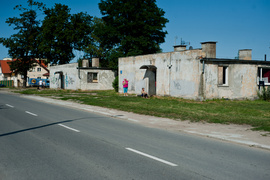 Skrzydlata w żywszych barwach