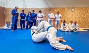 Judocy w Ataku