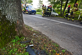 Kierująca renault uderzyła w drzewo