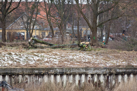 Porządkują nieckę byłego basenu