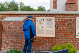 Zanurkować w muzeum