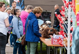 W mundurze... lecz bardziej na luzie