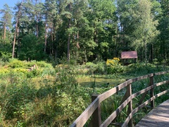 Leśne Arboretum Warmii i Mazur  (Na spacer z portEl.pl, odc. 17) 