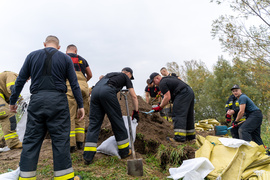 Przerwany wał na rzece Tina. Winne bobry