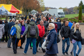 Na cmentarz głównie autobusem