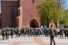 \"Niech żyje Elbląg, niech żyje najjaśniejsza Rzeczpospolita\"