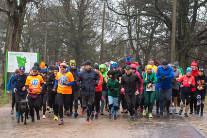 Policzyli się z cukrzycą podczas parkrun i licytowali na WOŚP