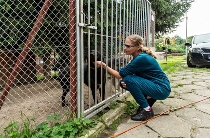 To ma być koniec łańcuchów, pseudohodowli i psiego smalcu