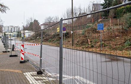 Były drzewa i krzewy, będzie fotowoltaika