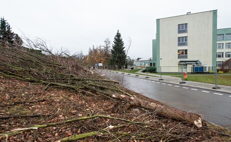 Były drzewa i krzewy, będzie fotowoltaika