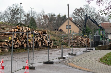 Były drzewa i krzewy, będzie fotowoltaika