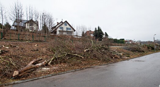 Były drzewa i krzewy, będzie fotowoltaika