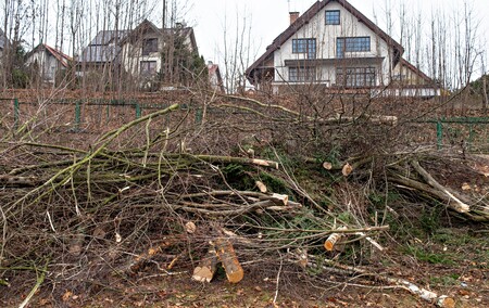 Były drzewa i krzewy, będzie fotowoltaika