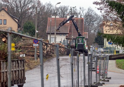 Były drzewa i krzewy, będzie fotowoltaika