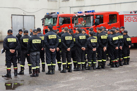 Strażacy zabezpieczają mecz Grecja - Niemcy