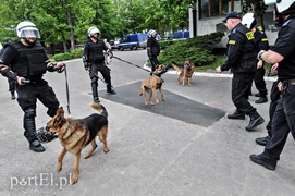 Policja kontra kibice na stadionie